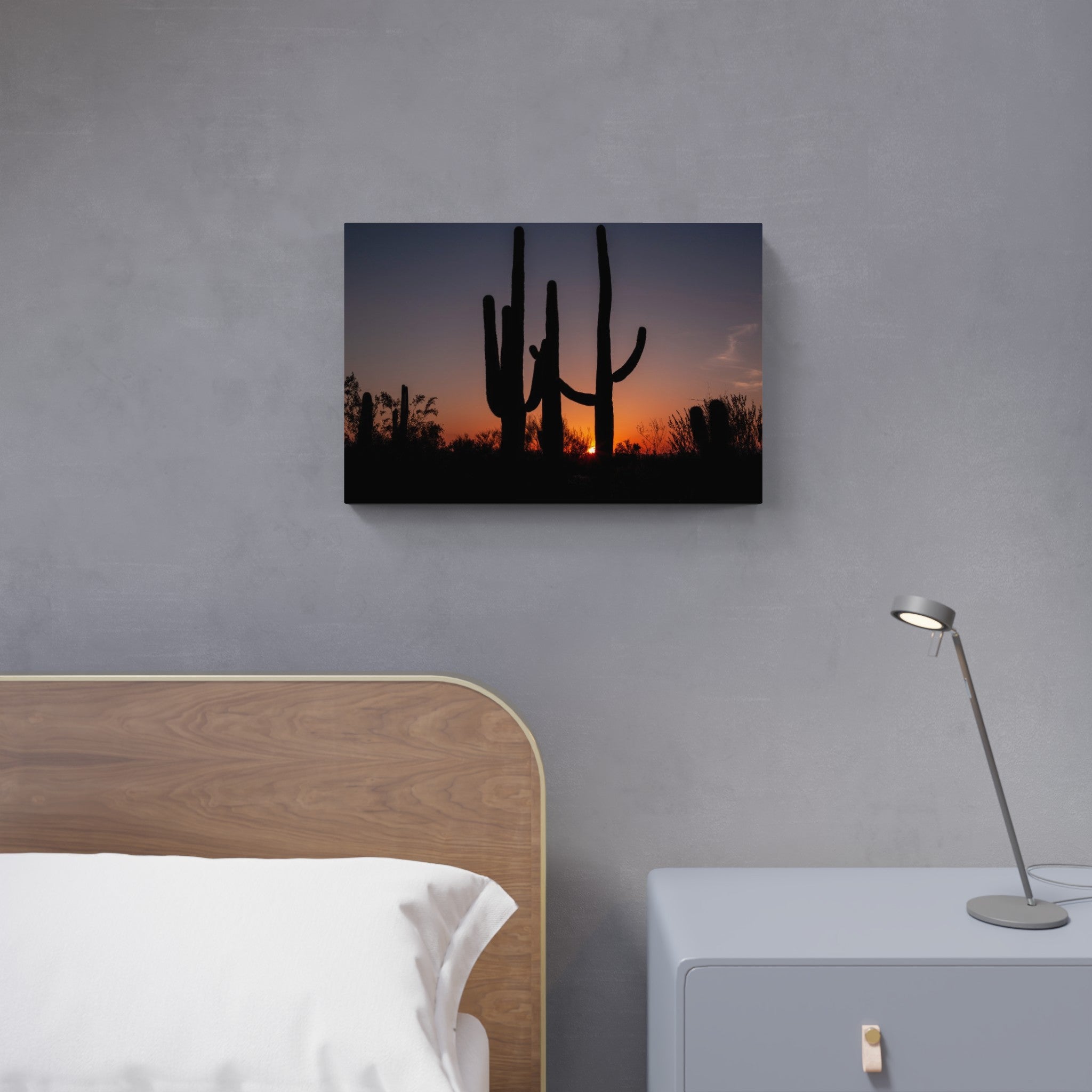 Saguaro Cacti Sunset, AZ